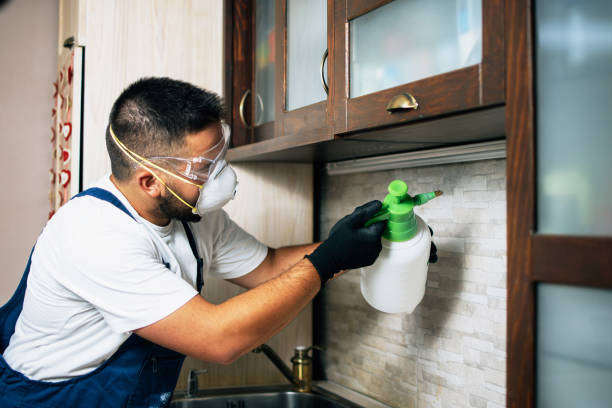 Best Mosquito Control Services  in Peshtigo, WI