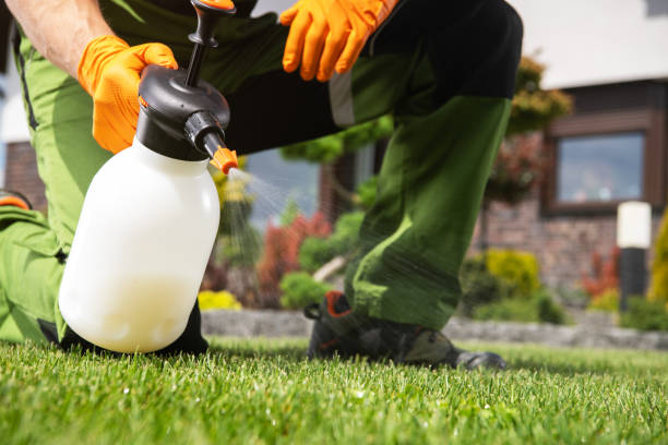 Insect Control in Peshtigo, WI