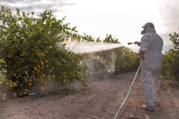 Best Pest Control Treatment  in Peshtigo, WI