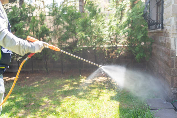 Best Pest Control for Homes  in Peshtigo, WI