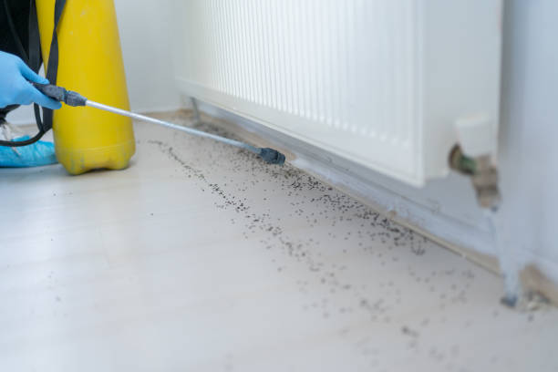 Best Emergency Pest Control  in Peshtigo, WI